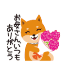 柴犬「ムサシ」誕生日＆年中行事スタンプ（個別スタンプ：30）