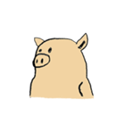 the PiGGy（個別スタンプ：1）