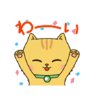 猫のリオン（個別スタンプ：11）