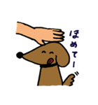 犬のクール（個別スタンプ：14）