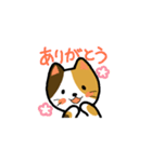 普通の猫。（個別スタンプ：5）