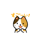 普通の猫。（個別スタンプ：24）