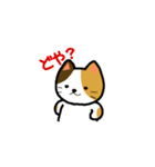 普通の猫。（個別スタンプ：27）