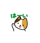 普通の猫。（個別スタンプ：28）