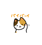 普通の猫。（個別スタンプ：30）