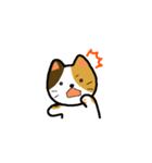 普通の猫。（個別スタンプ：31）