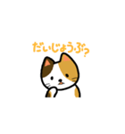 普通の猫。（個別スタンプ：39）