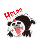 PANDA DOG（個別スタンプ：40）