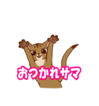 あび猫（個別スタンプ：6）