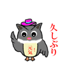 フクロウと遊ぼう（個別スタンプ：1）