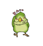 インコのヨモギ（個別スタンプ：10）