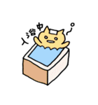 ねこたこセットR（個別スタンプ：17）