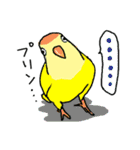 インコのにおい（個別スタンプ：26）