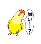 インコのにおい（個別スタンプ：31）