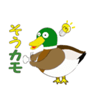 ダジャレ可愛い動物たち（個別スタンプ：10）