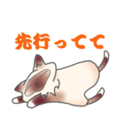 バーマン猫！！（個別スタンプ：10）