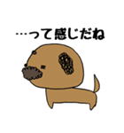 犬おじさん（個別スタンプ：4）