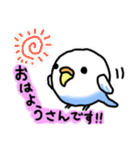 丸いインコ（個別スタンプ：1）