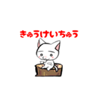 幸せを呼ぶまゆげ猫    まゆげにゃん（個別スタンプ：15）