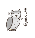 フクロウぽぽ太スタンプ（個別スタンプ：10）