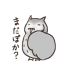 フクロウぽぽ太スタンプ（個別スタンプ：11）