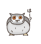 フクロウぽぽ太スタンプ（個別スタンプ：12）