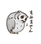 フクロウぽぽ太スタンプ（個別スタンプ：16）