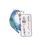 ハコインコ（個別スタンプ：4）