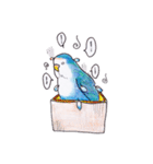 ハコインコ（個別スタンプ：6）