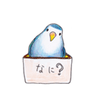 ハコインコ（個別スタンプ：13）