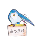 ハコインコ（個別スタンプ：19）