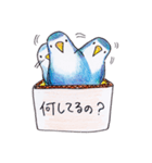 ハコインコ（個別スタンプ：22）