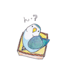 ハコインコ（個別スタンプ：23）