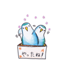 ハコインコ（個別スタンプ：25）