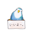 ハコインコ（個別スタンプ：27）