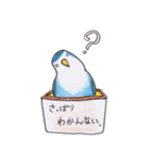 ハコインコ（個別スタンプ：29）