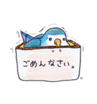 ハコインコ（個別スタンプ：30）