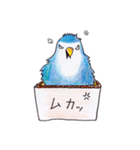 ハコインコ（個別スタンプ：31）