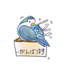 ハコインコ（個別スタンプ：33）