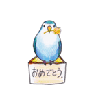 ハコインコ（個別スタンプ：39）