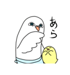 鳩の仲良し親子 ピースくんとピースママ（個別スタンプ：28）