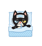 Sammy Cat（個別スタンプ：35）