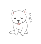 しろ柴犬の子犬（個別スタンプ：8）