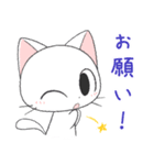 猫の日常会話（個別スタンプ：14）