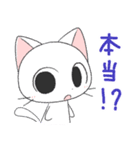 猫の日常会話（個別スタンプ：18）