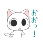 猫の日常会話（個別スタンプ：28）