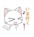 猫の日常会話（個別スタンプ：30）