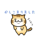 なにかと丁寧な猫（個別スタンプ：1）