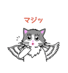 はねネコめいちゃん(文字付きねこスタンプ)（個別スタンプ：14）