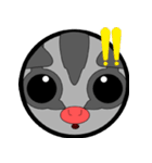 Classic Grey Sugar Glider Emoticon（個別スタンプ：8）